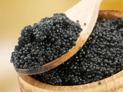 Черная икра станет легальной Черная икра станет легальной